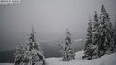 ./images/quadra/bluff/20260216/bluff20260216_110001M.jpg