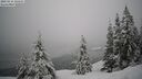 ./images/quadra/bluff/20260216/bluff20260216_110501M.jpg