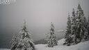 ./images/quadra/bluff/20260216/bluff20260216_111001M.jpg