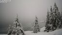 ./images/quadra/bluff/20260216/bluff20260216_111501M.jpg