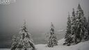 ./images/quadra/bluff/20260216/bluff20260216_112001M.jpg