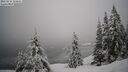 ./images/quadra/bluff/20260216/bluff20260216_112501M.jpg