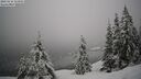 ./images/quadra/bluff/20260216/bluff20260216_113002M.jpg