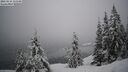 ./images/quadra/bluff/20260216/bluff20260216_113501M.jpg