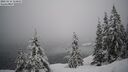 ./images/quadra/bluff/20260216/bluff20260216_114001M.jpg