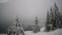 ./images/quadra/bluff/20260216/bluff20260216_114501M.jpg
