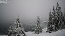 ./images/quadra/bluff/20260216/bluff20260216_115001M.jpg