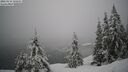./images/quadra/bluff/20260216/bluff20260216_115501M.jpg