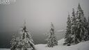 ./images/quadra/bluff/20260216/bluff20260216_120502M.jpg