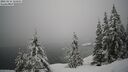 ./images/quadra/bluff/20260216/bluff20260216_121001M.jpg