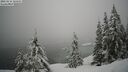 ./images/quadra/bluff/20260216/bluff20260216_121502M.jpg