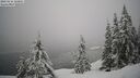 ./images/quadra/bluff/20260216/bluff20260216_122002M.jpg