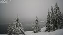 ./images/quadra/bluff/20260216/bluff20260216_122501M.jpg