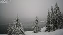 ./images/quadra/bluff/20260216/bluff20260216_123001M.jpg