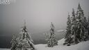 ./images/quadra/bluff/20260216/bluff20260216_123502M.jpg