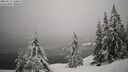 ./images/quadra/bluff/20260216/bluff20260216_124001M.jpg