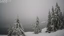 ./images/quadra/bluff/20260216/bluff20260216_124501M.jpg