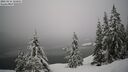 ./images/quadra/bluff/20260216/bluff20260216_125001M.jpg