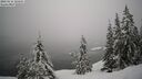 ./images/quadra/bluff/20260216/bluff20260216_125501M.jpg