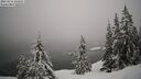 ./images/quadra/bluff/20260216/bluff20260216_130001M.jpg