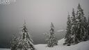 ./images/quadra/bluff/20260216/bluff20260216_130501M.jpg