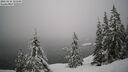 ./images/quadra/bluff/20260216/bluff20260216_131001M.jpg