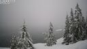 ./images/quadra/bluff/20260216/bluff20260216_131501M.jpg