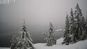 ./images/quadra/bluff/20260216/bluff20260216_132001M.jpg