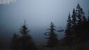 ./images/quadra/bluff/20260224/bluff20260224_063501M.jpg