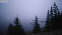 ./images/quadra/bluff/20260224/bluff20260224_064501M.jpg