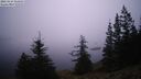 ./images/quadra/bluff/20260224/bluff20260224_065001M.jpg