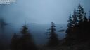 ./images/quadra/bluff/20260306/bluff20260306_062501M.jpg