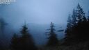 ./images/quadra/bluff/20260306/bluff20260306_063001M.jpg