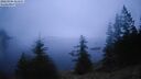./images/quadra/bluff/20260306/bluff20260306_063501M.jpg