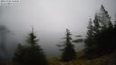 ./images/quadra/bluff/20260306/bluff20260306_154501M.jpg
