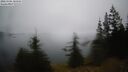 ./images/quadra/bluff/20260306/bluff20260306_180001M.jpg