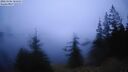 ./images/quadra/bluff/20260306/bluff20260306_181002M.jpg