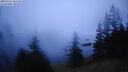 ./images/quadra/bluff/20260306/bluff20260306_181501M.jpg