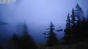 ./images/quadra/bluff/20260306/bluff20260306_182501M.jpg