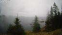 ./images/quadra/bluff/20260315/bluff20260315_120001M.jpg