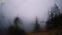 ./images/quadra/bluff/20260703/bluff20260703_045501M.jpg