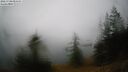./images/quadra/bluff/20260703/bluff20260703_051501M.jpg