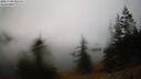 ./images/quadra/bluff/20260703/bluff20260703_052501M.jpg