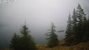 ./images/quadra/bluff/20260703/bluff20260703_064501M.jpg