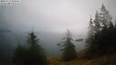 ./images/quadra/bluff/20260717/bluff20260717_063501M.jpg