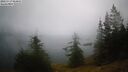 ./images/quadra/bluff/20260717/bluff20260717_064001M.jpg