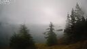 ./images/quadra/bluff/20260717/bluff20260717_065001M.jpg