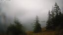 ./images/quadra/bluff/20260717/bluff20260717_072501M.jpg