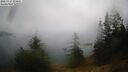 ./images/quadra/bluff/20260717/bluff20260717_074001M.jpg