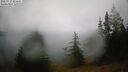 ./images/quadra/bluff/20260717/bluff20260717_075501M.jpg